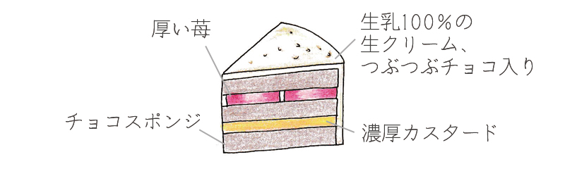 チョコチップショート断面図