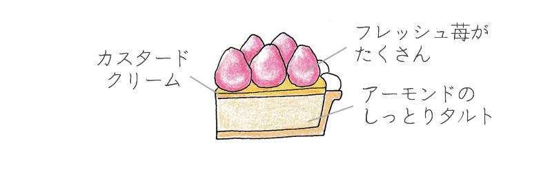 いちごタルト断面図