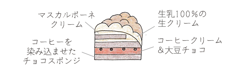 ティラミス断面図